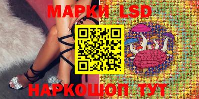 амф Коммунар